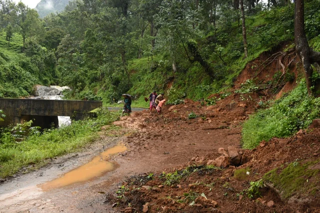 Nilgiri Rain