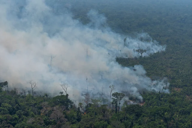Amazon Fires