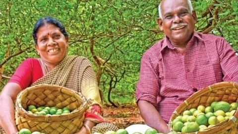 வீரத் தம்பதி