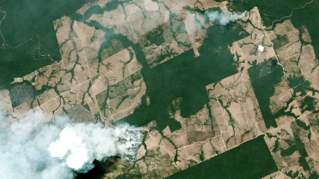Amazon Fires