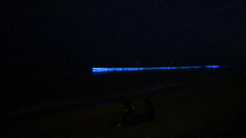 Bioluminescent waves in Chennai