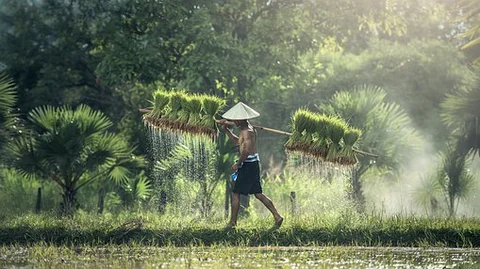 Representational Image
