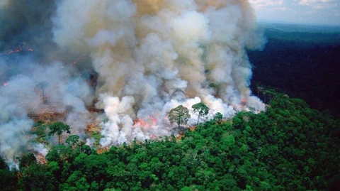 Amazon forest fire
