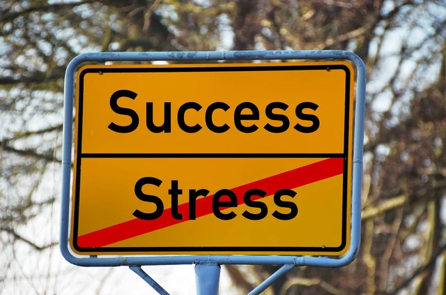 Stress