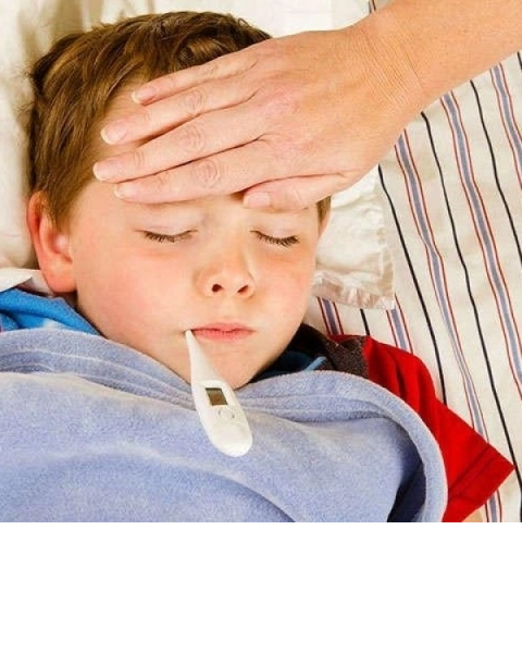 Cold and Fever