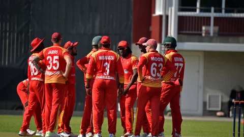 Zimbabwe Players