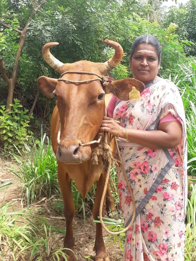 mahalakshmi, kovai