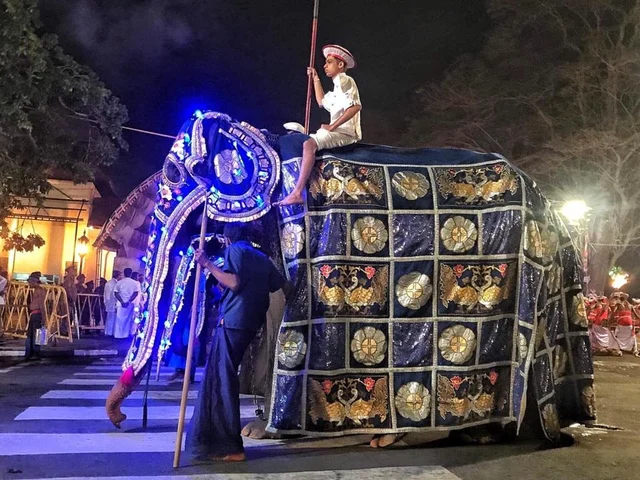 Elephant Tikiiri