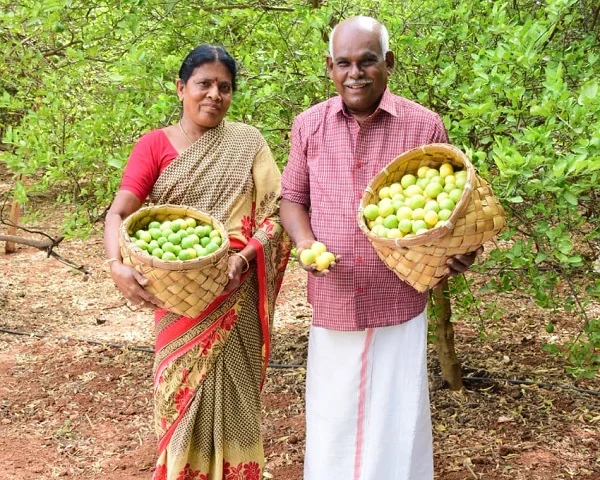 இயற்கை விவசாயம் செய்யும் தம்பதி