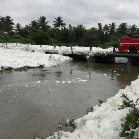 water pollution