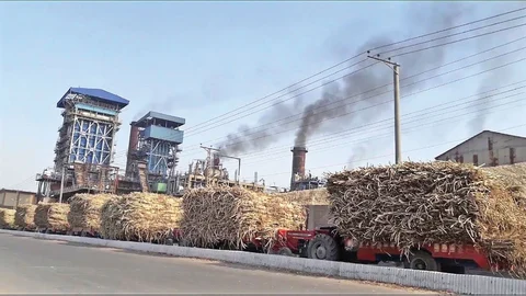 Sugar mill