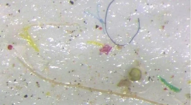 Micro plastic