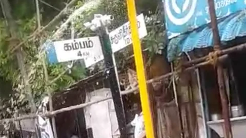 சிக்னல் பைப்பிலிருந்து கொட்டும் தண்ணீர்