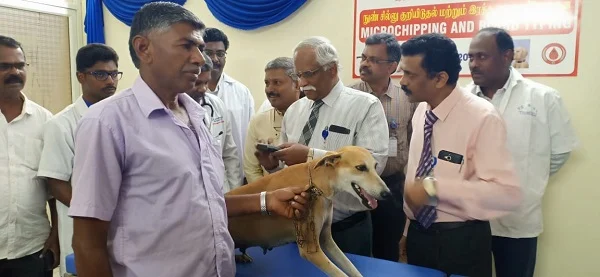மைக்ரோ சிப் பொருத்தும் மருத்துவர்கள்