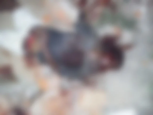 கொலை செய்யப்பட்ட ரவுடி ரஞ்சித்