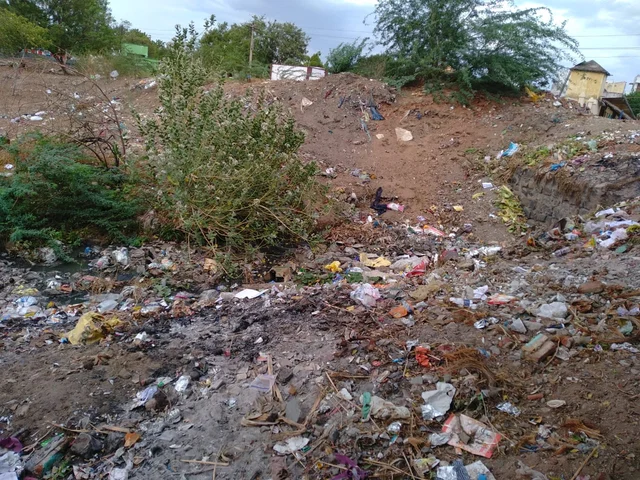 பெரிய ஏரி அவலம்