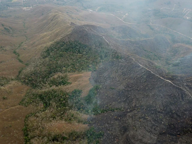 Amazon fires