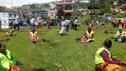 சதுப்பு நிலத்தில் மரக்கன்றுகளை நடவு செய்த ஊழியர்கள்
