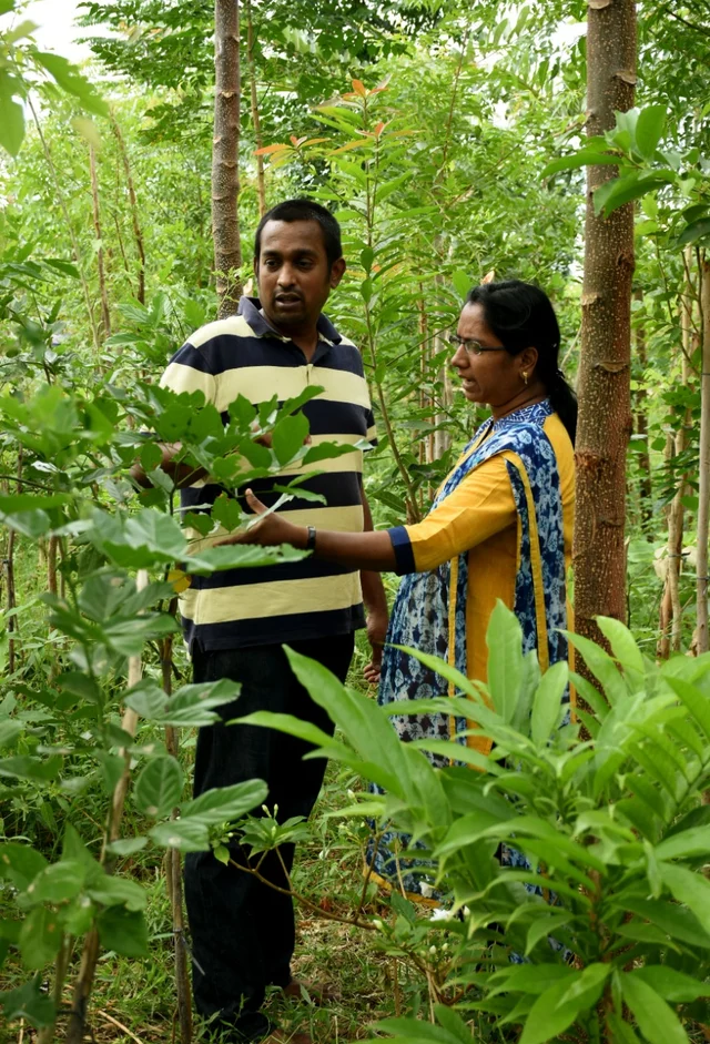 ஆனந்த் மற்றும் ஆனந்தி