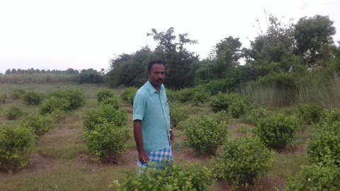 ஆக்கிரமிப்பு செய்யப்பட்ட நிலத்தில் பாஸ்கரன்
