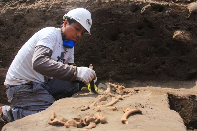 Peru skeletons