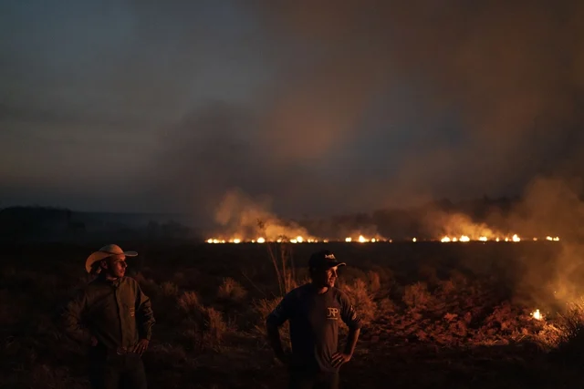 Amazon Fires