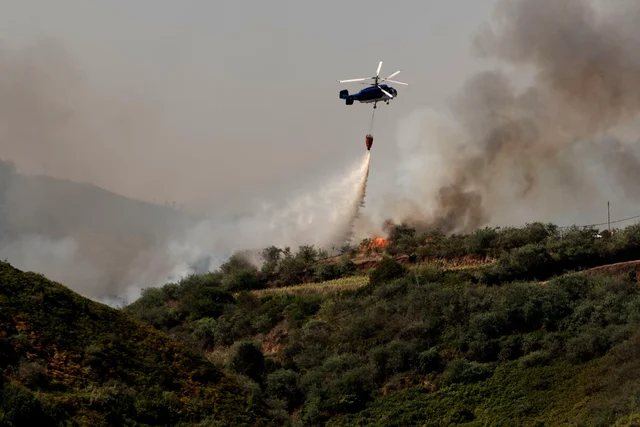 Wildfire