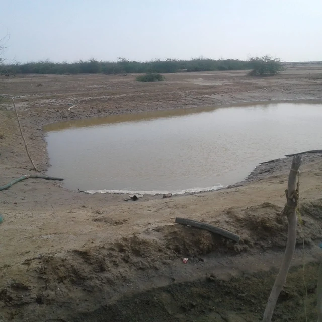 kodiyakarai Search