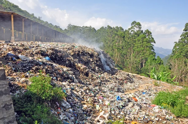 Waste