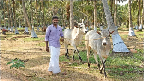 Jegadesan