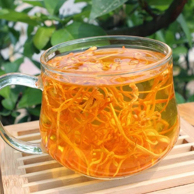 Cordyceps mushroom