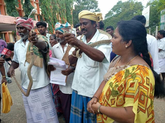 பாம்புகளுடன் நாடோடி இன மக்கள்