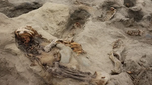 Peru skeletons