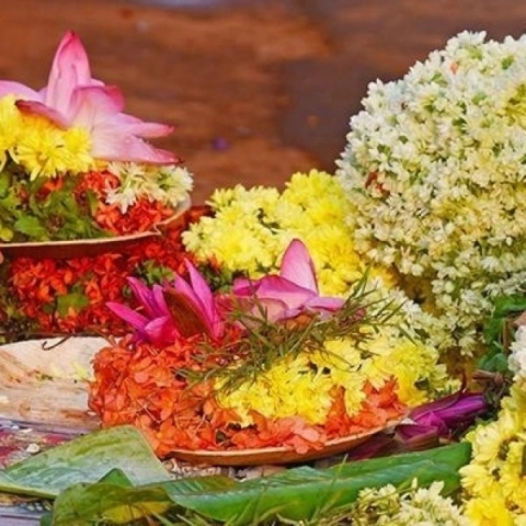 ஆவணி அவிட்டம்