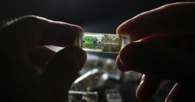 Electronic Pills (Sample)