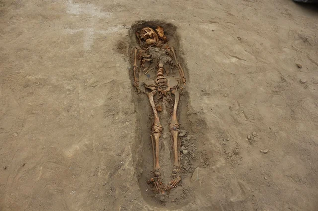 Peru skeletons