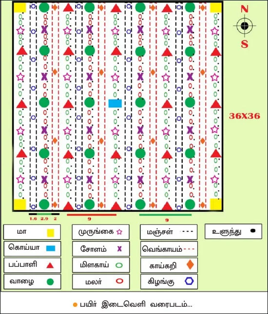 Crops Planning Pattern