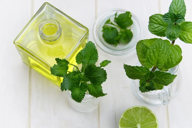 சித்த மருத்துவ முறை