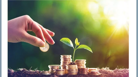 mutual fund