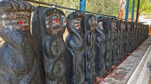 நாக சதுர்த்தி