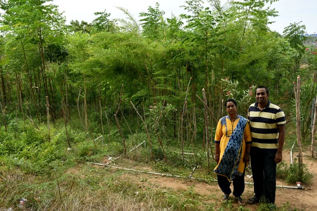 ஆனந்த் மற்றும் ஆனந்தி