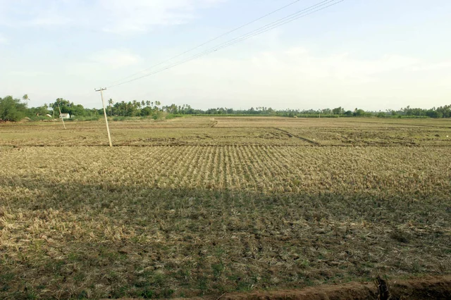 ஆக்கிரமிக்கப்பட்ட முதலைப்பட்டி ஏரி