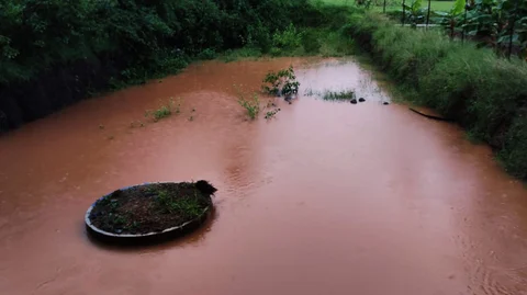 பண்ணைக் குட்டை