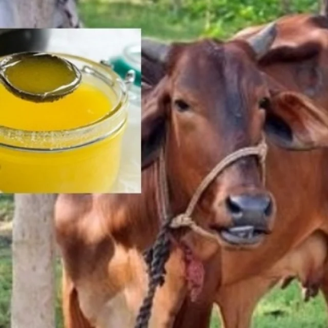 நெய்