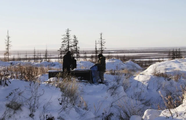 Permafrost