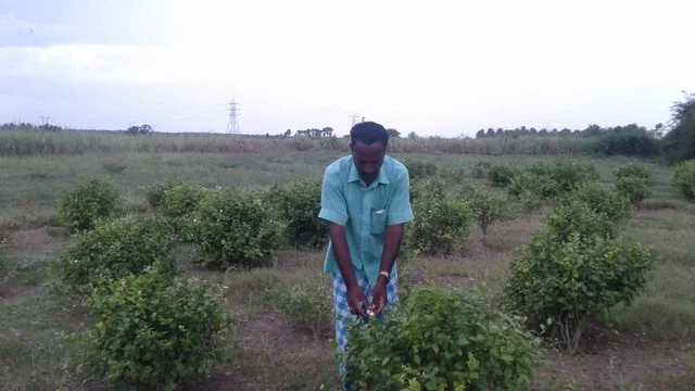 ஆக்கிரமிப்பு செய்யப்பட்ட நிலத்தில் பாஸ்கரன்