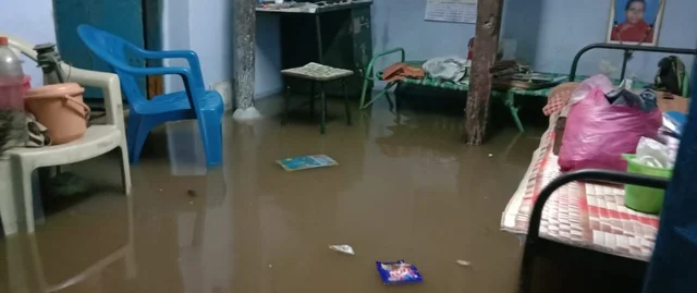 Rain