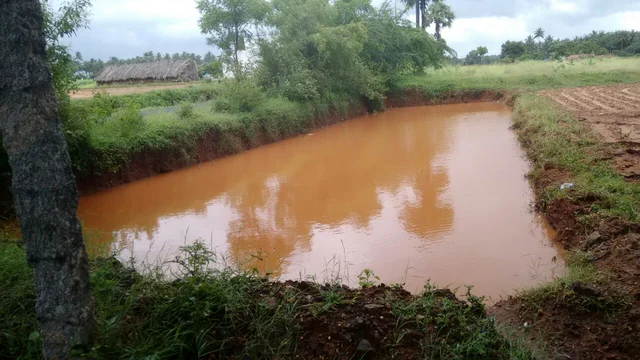 பண்ணைக் குட்டை