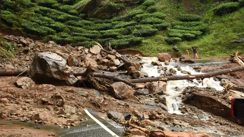 Nilgiri Rain