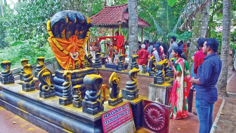 பத்திரகாளி அம்மன்
